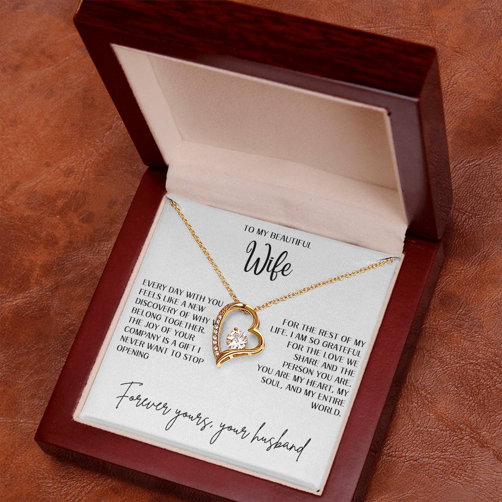 Gift for Wife "You are my heart and soul" Forever Love necklace
