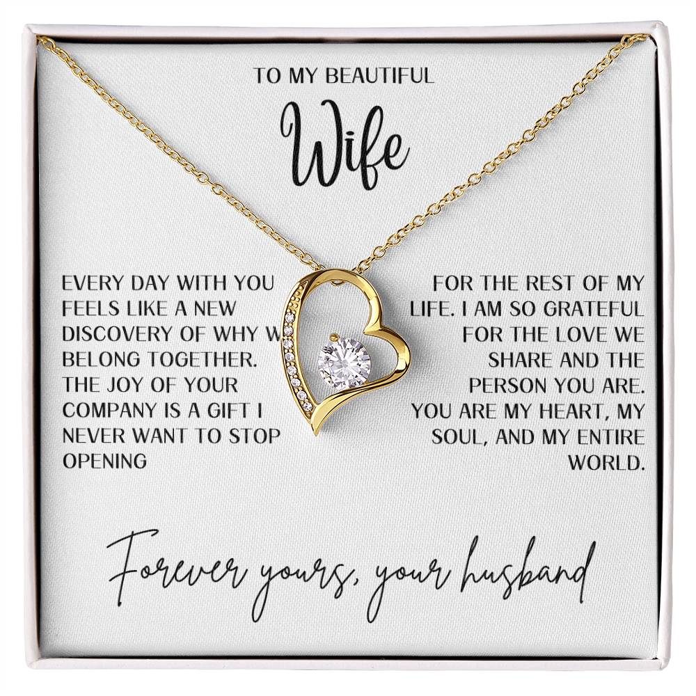 Gift for Wife "You are my heart and soul" Forever Love necklace